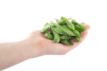 Similar image 1370411