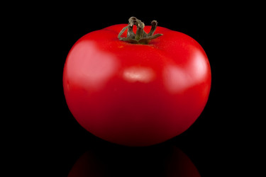 Similar image 1370434