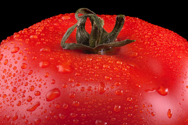 Similar image 1370479