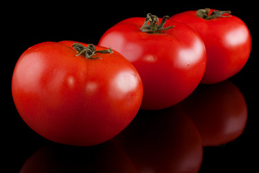 Similar image 1370484