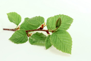 Similar image 1370623