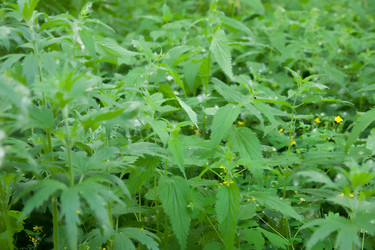 Similar image 1370793