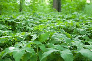 Similar image 1370794