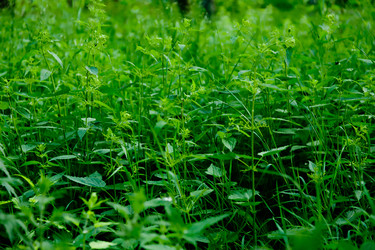 Similar image 1370799