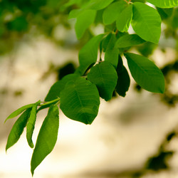 Similar image 1370806