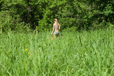 Similar image 1370809