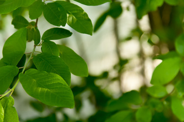 Similar image 1370817