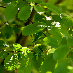 Similar image 1370818