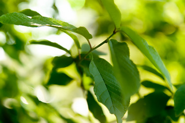 Similar image 1370819