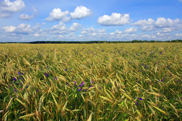 Similar image 1370880