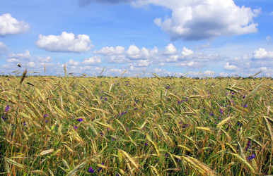 Similar image 1370881