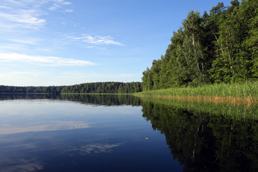 Similar image 1370882