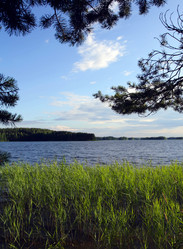 Similar image 1370883