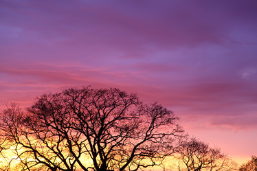 Similar image 1371391