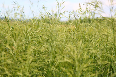 Similar image 1371401