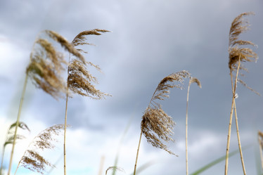 Similar image 1371405