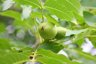 Similar image 1371495