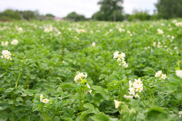 Similar image 1371500