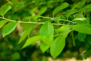 Similar image 1371535