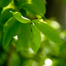 Similar image 1371537