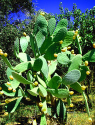 Similar image 1371721