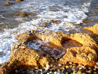 Similar image 1371731