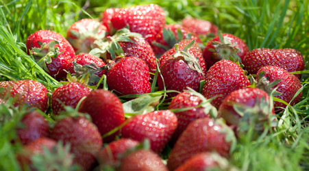 Similar image 1371787