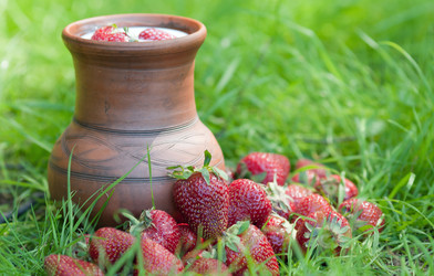 Similar image 1371788