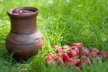 Similar image 1371789