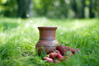 Similar image 1371847