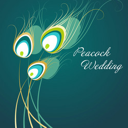 Similar image 1372056