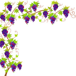 Similar image 1372812