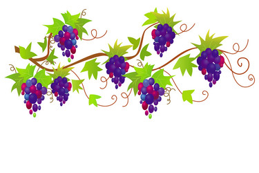 Similar image 1372826