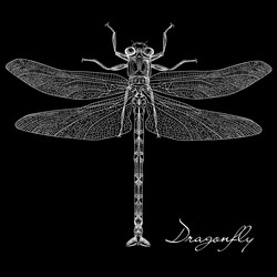 Similar image 1374071