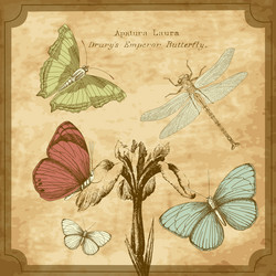 Similar image 1374081