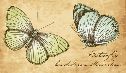 Similar image 1374082