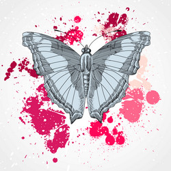 Similar image 1374097