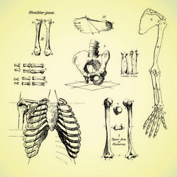 Similar image 1374114