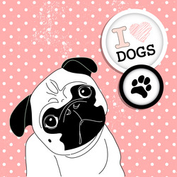 Similar image 1374164