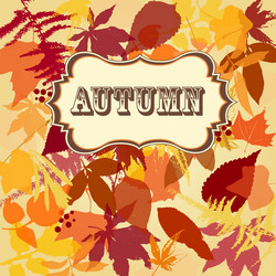 Similar image 1374237