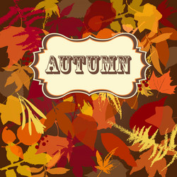 Similar image 1374244