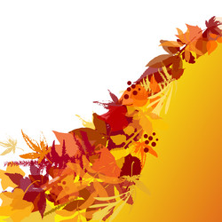 Similar image 1374247