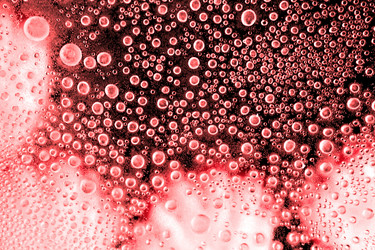 Similar image 1374306