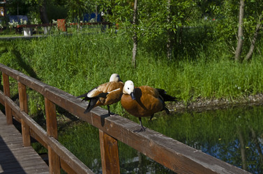 Similar image 1374318