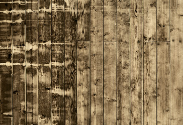 Similar image 1374372