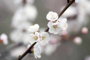 Similar image 1374396