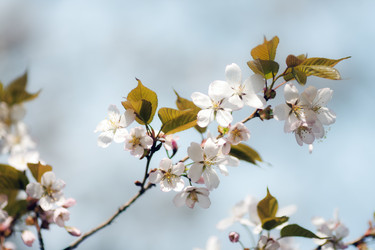 Similar image 1374397