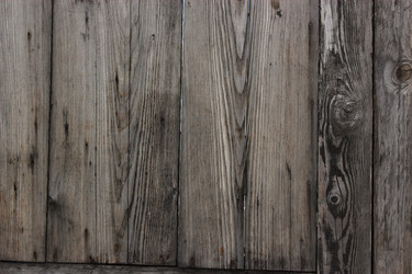 Similar image 1374422