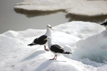 Similar image 1374426