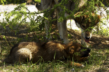 Similar image 1374437